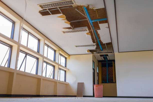 Best Water damage cleanup near me  in Creve Coeur, MO