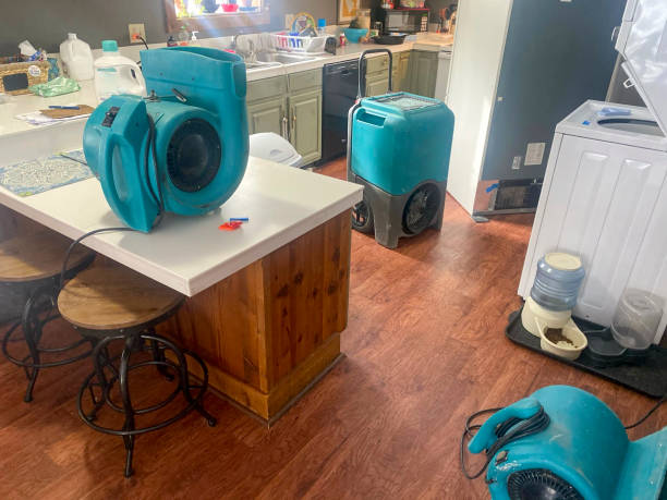 Best Carpet water damage restoration  in Creve Coeur, MO
