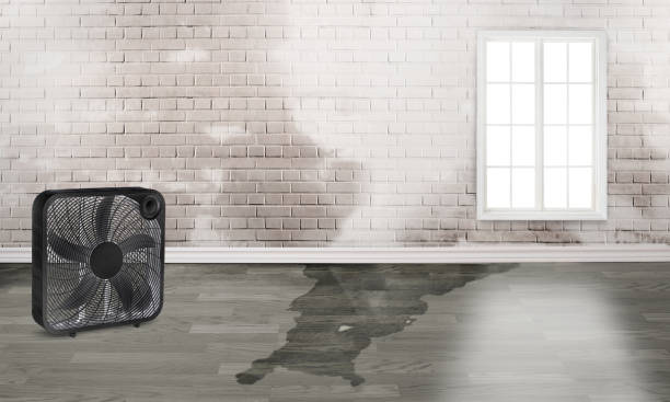 Best 24/7 water damage repair  in Creve Coeur, MO