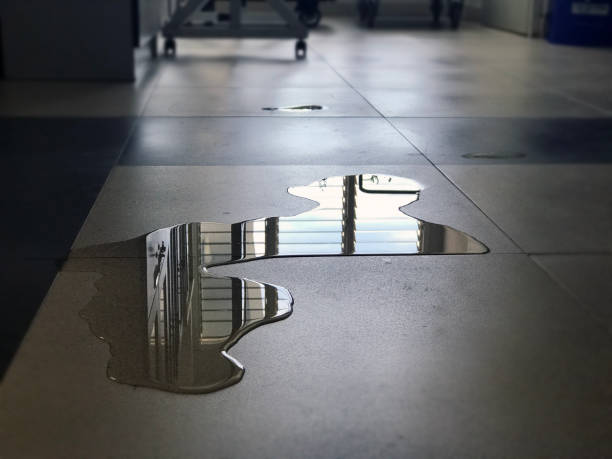 Best Water damage restoration insurance claims  in Creve Coeur, MO