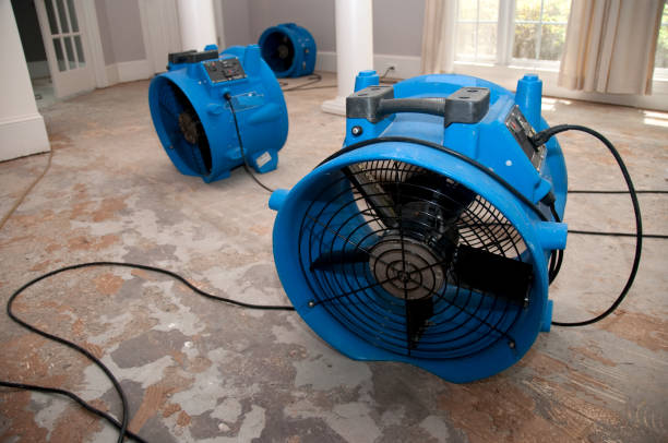 Best Ceiling water damage repair  in Creve Coeur, MO