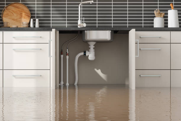 Best Water damage cleanup near me  in Creve Coeur, MO